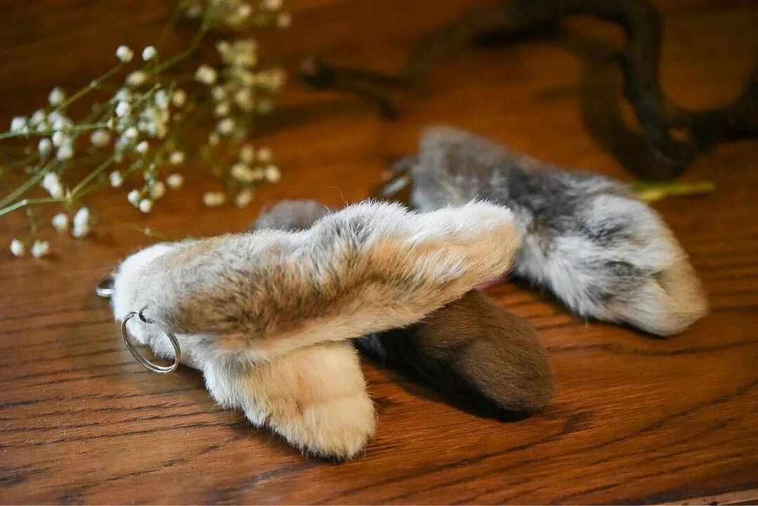 iyi şanslar için tavşan ayağı